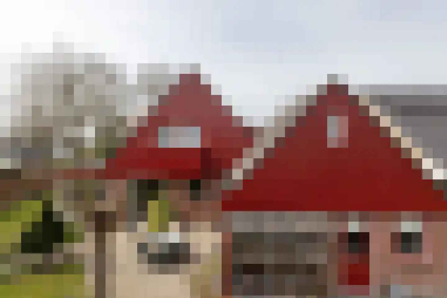 Klaasbos 23 Lichtenvoorde thumbnail 37