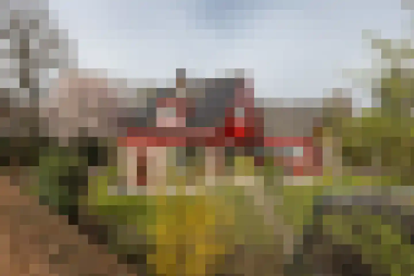 Klaasbos 23 Lichtenvoorde thumbnail 39