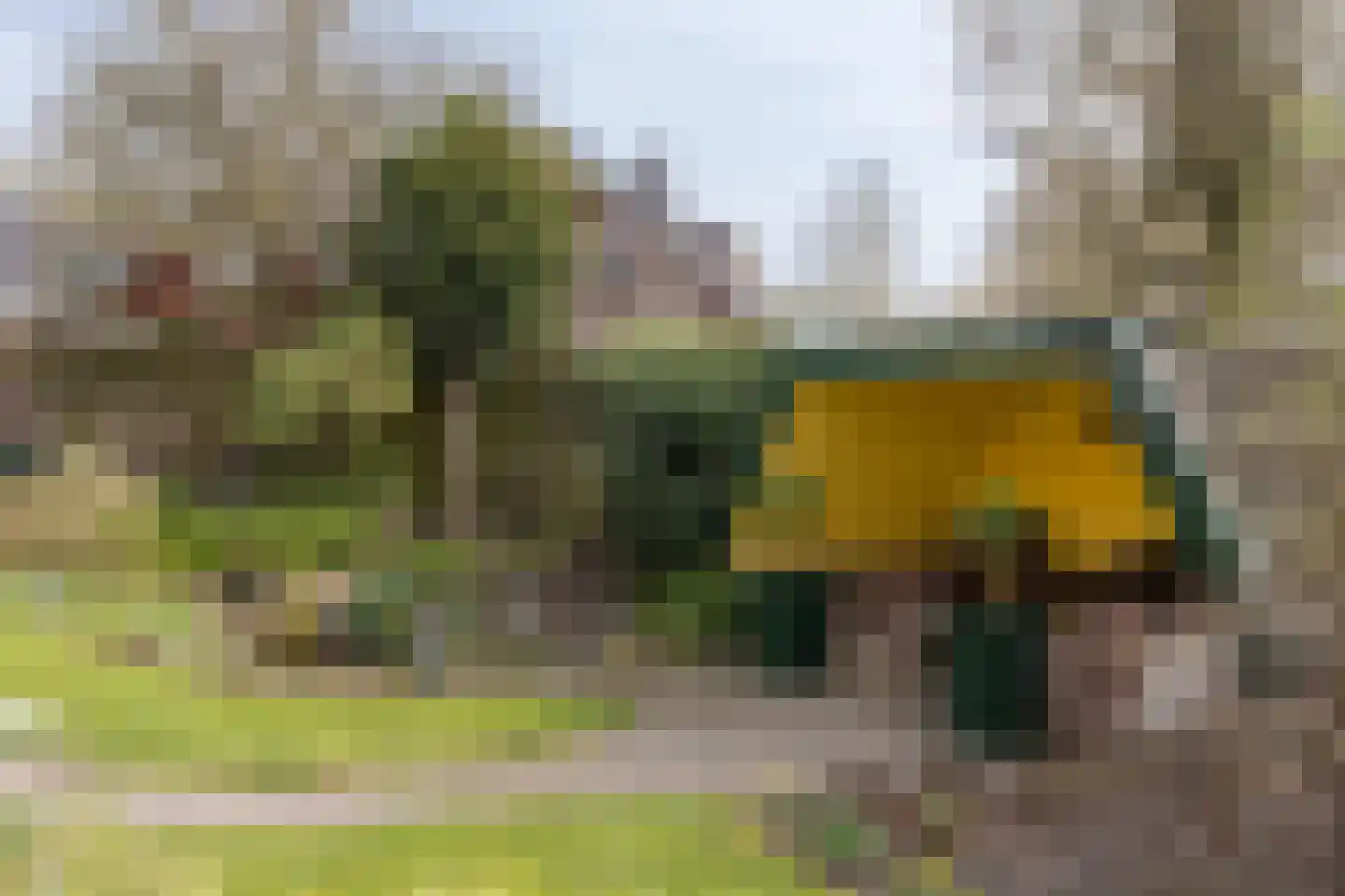 Klaasbos 23 Lichtenvoorde thumbnail 45