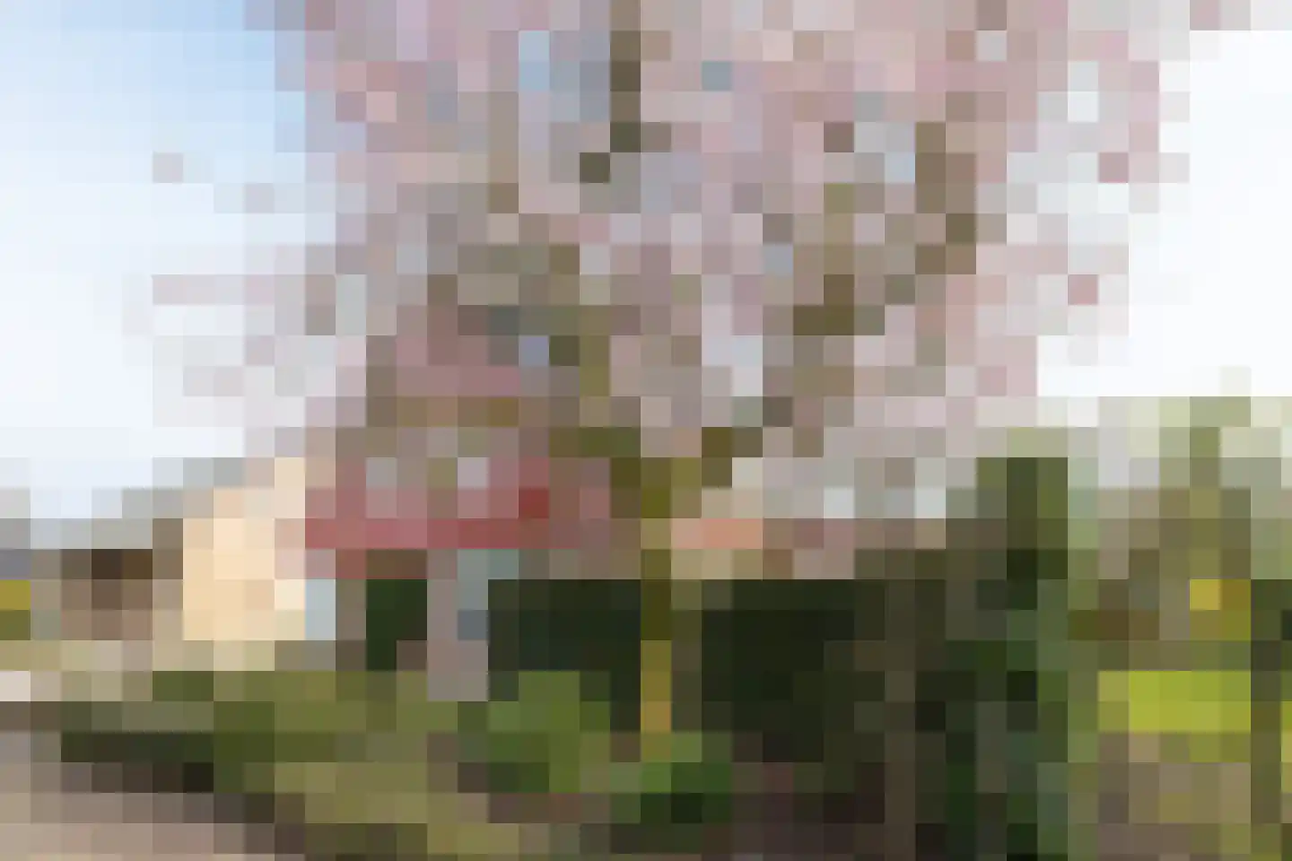 Klaasbos 23 Lichtenvoorde thumbnail 51
