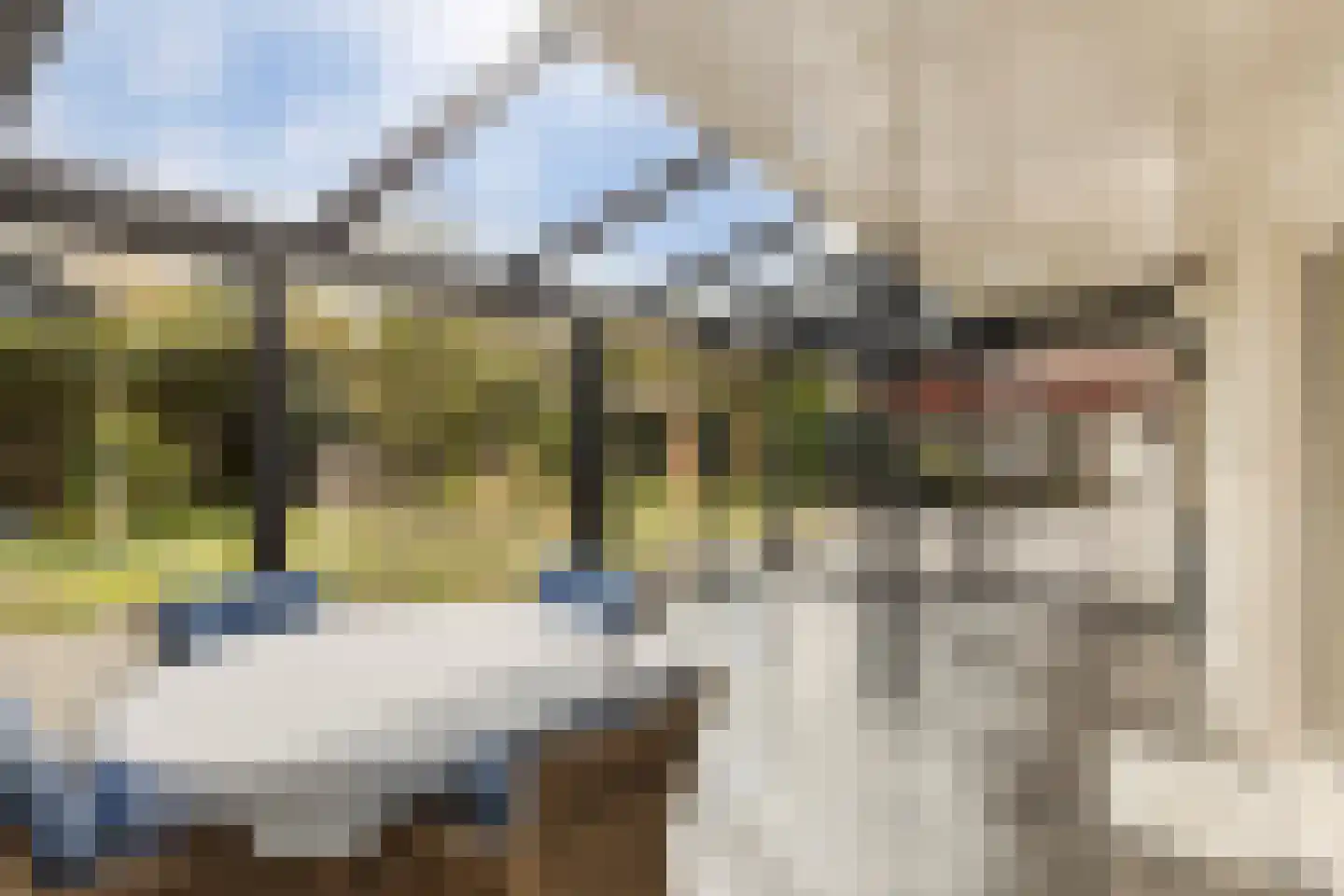Klaasbos 24 Lichtenvoorde thumbnail 23