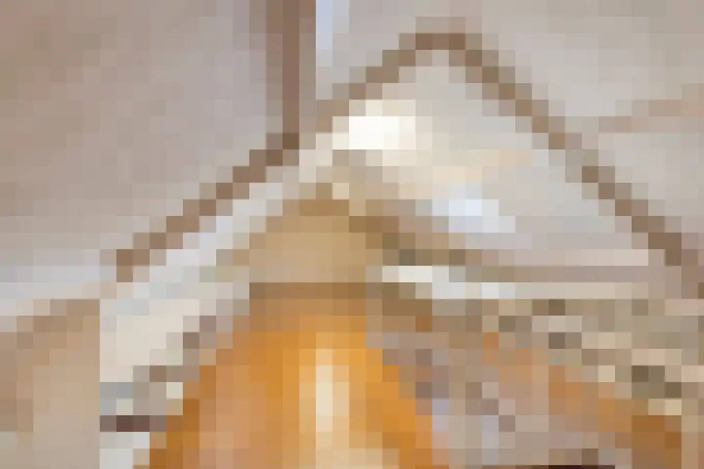 Klaasbos 24 Lichtenvoorde thumbnail 39