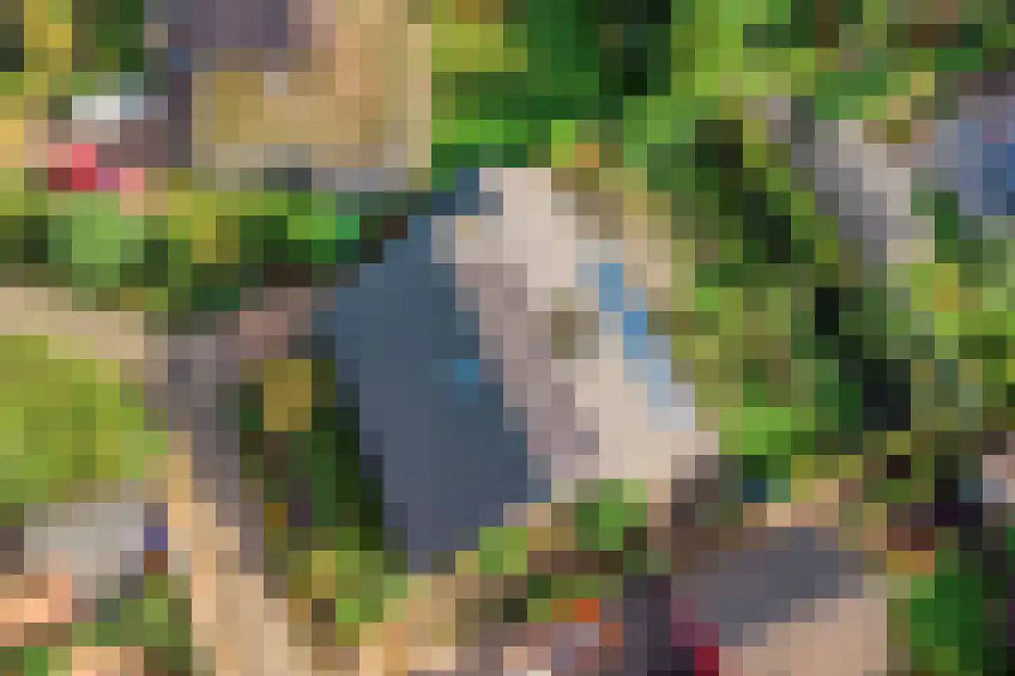 Klaasbos 24 Lichtenvoorde thumbnail 4