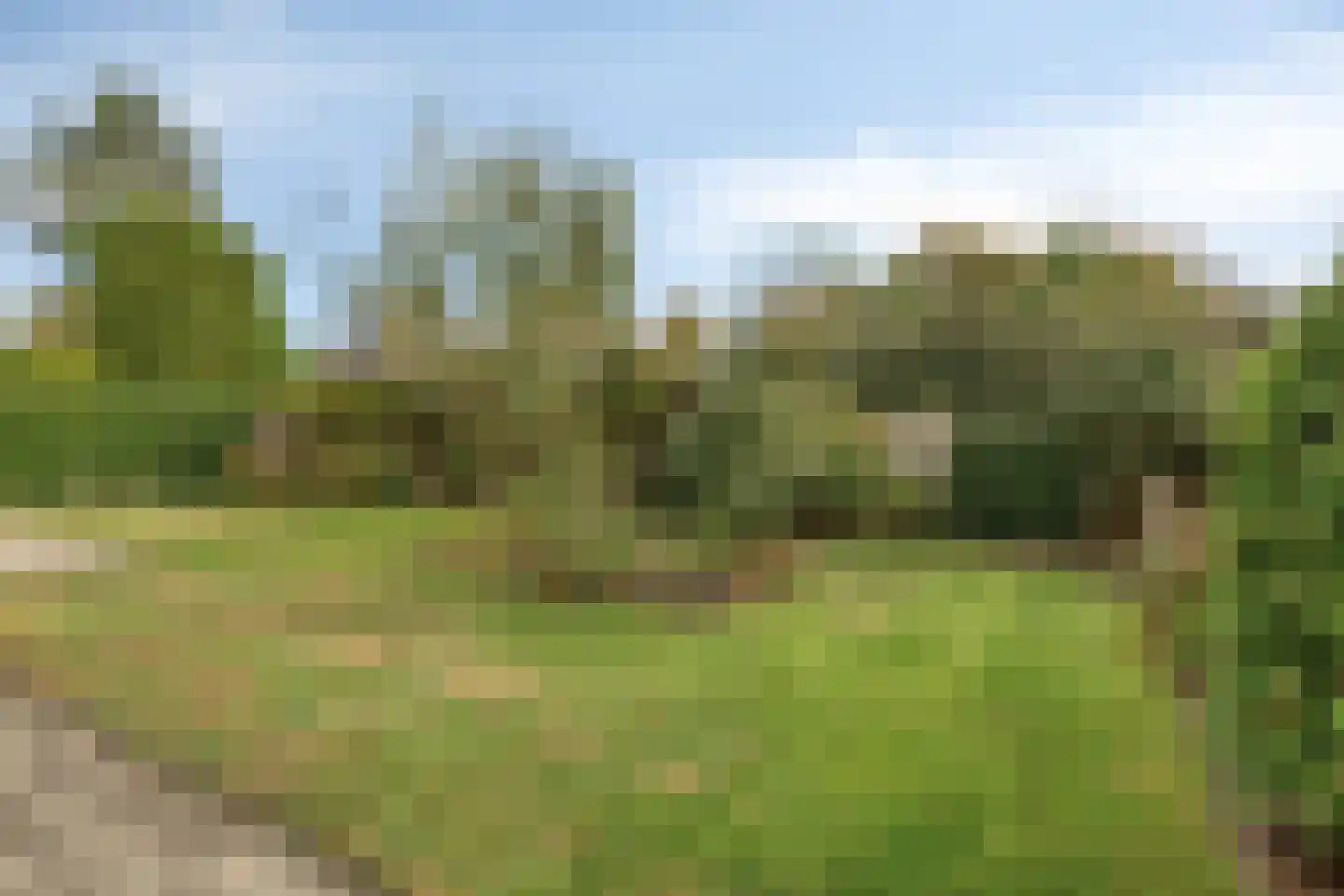Klaasbos 24 Lichtenvoorde thumbnail 43