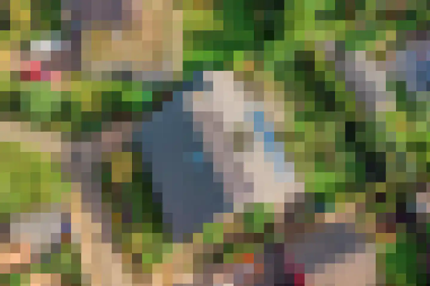 Klaasbos 24 Lichtenvoorde thumbnail 46