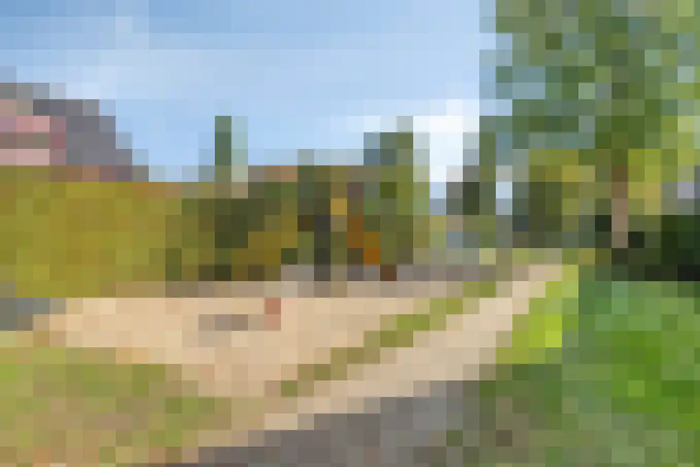 Klaasbos 24 Lichtenvoorde thumbnail 50