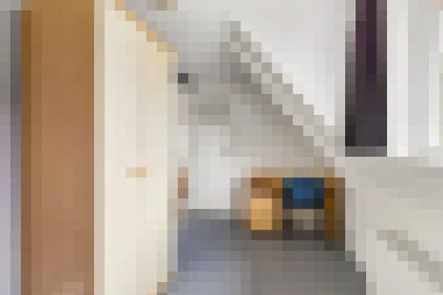 Klaashofweg 15 Eibergen thumbnail 39