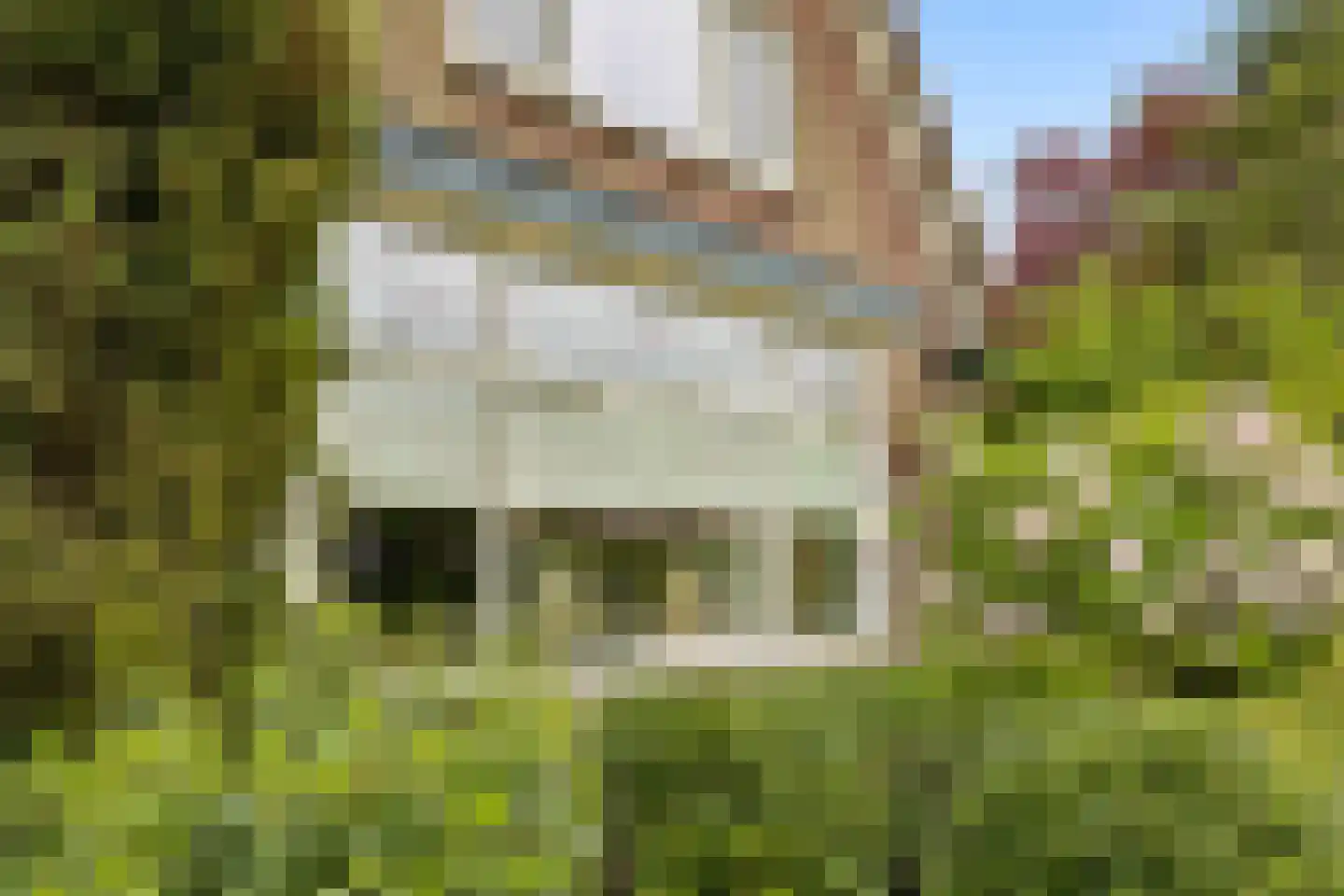 Klaashofweg 15 Eibergen thumbnail 5