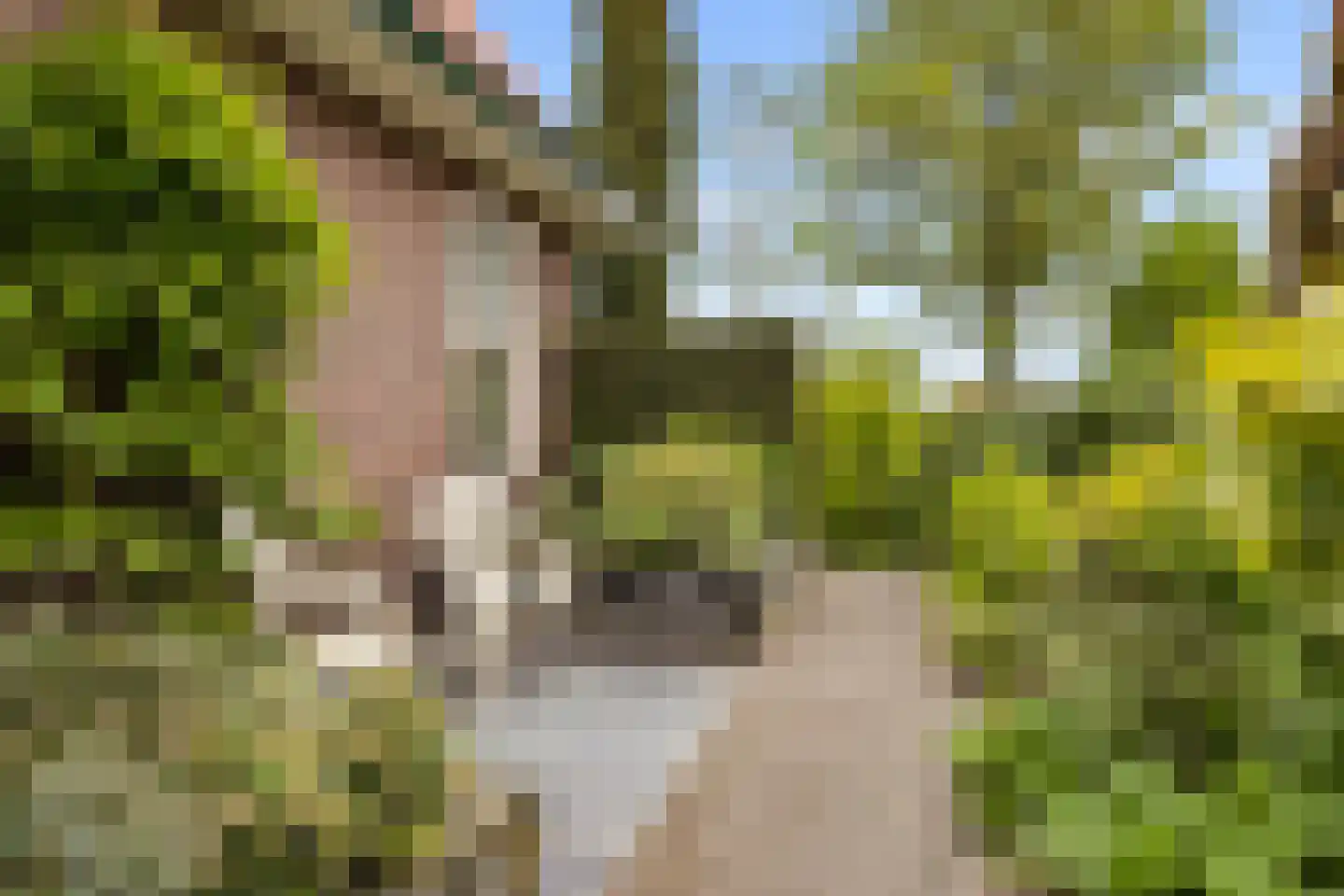 Klaashofweg 15 Eibergen thumbnail 61