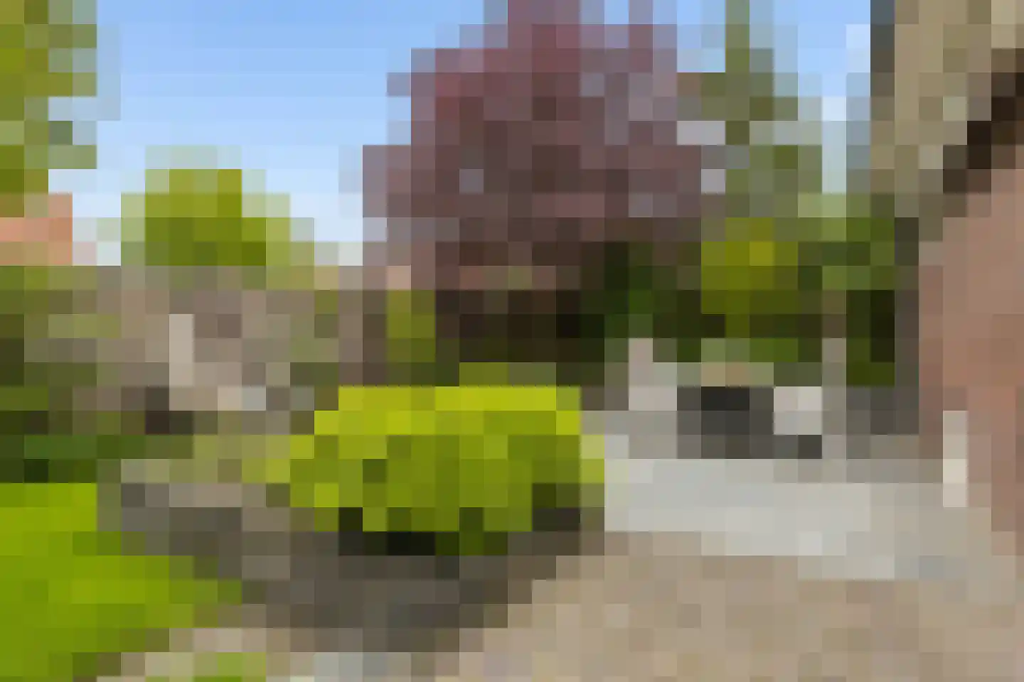 Klaashofweg 15 Eibergen thumbnail 68