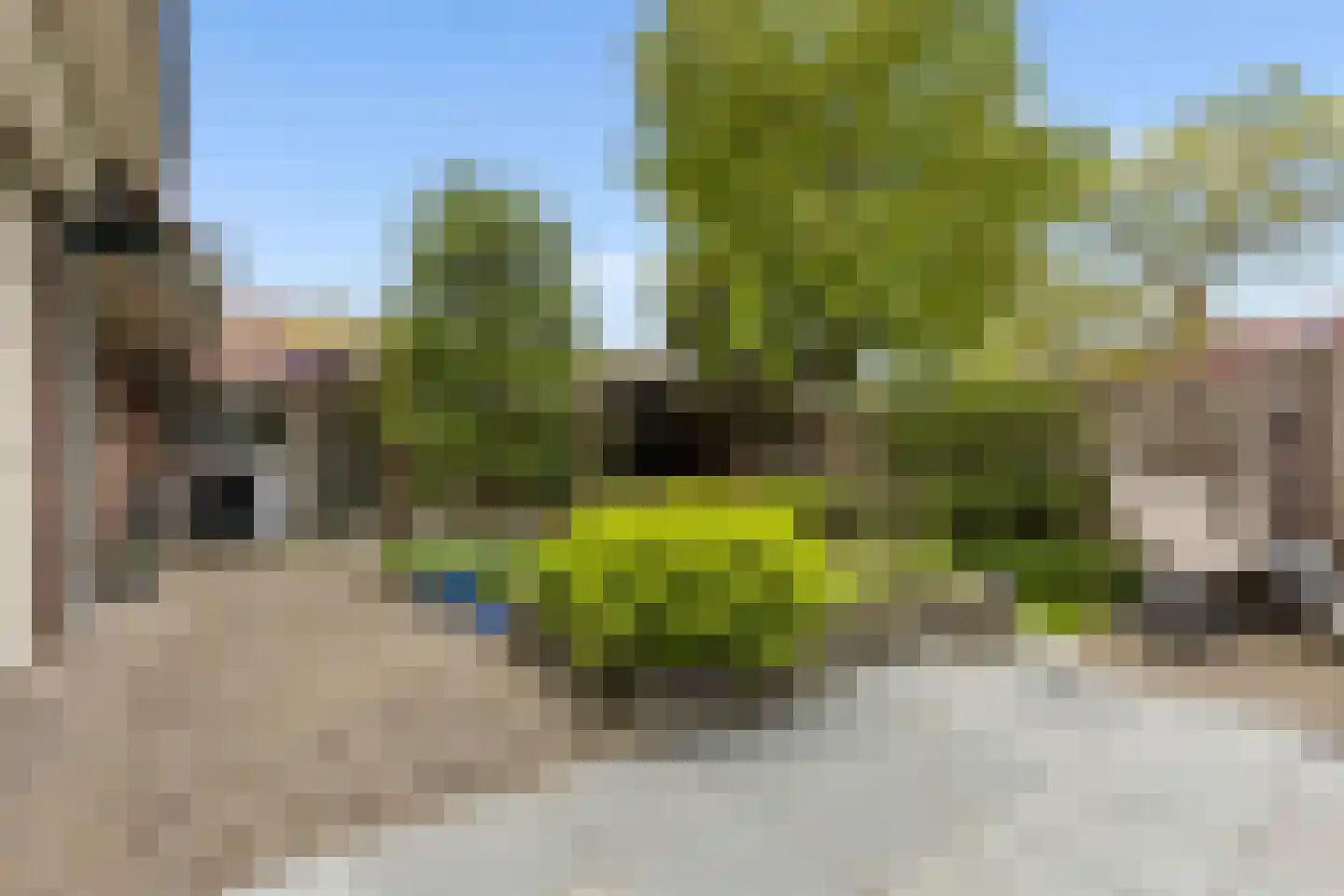 Klaashofweg 15 Eibergen thumbnail 70