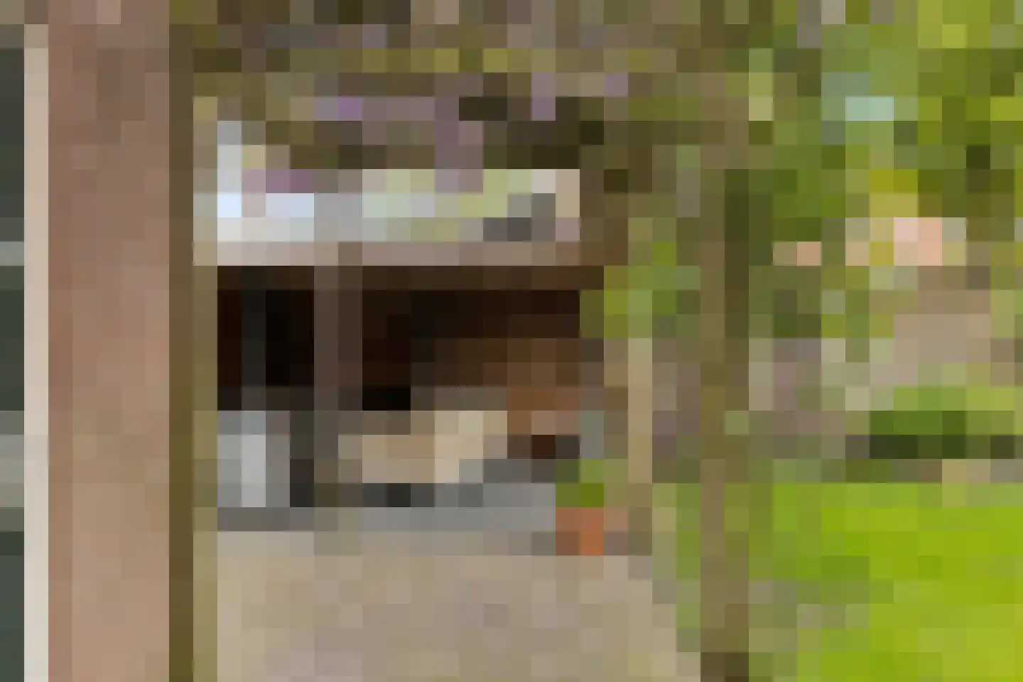 Klaashofweg 15 Eibergen thumbnail 73
