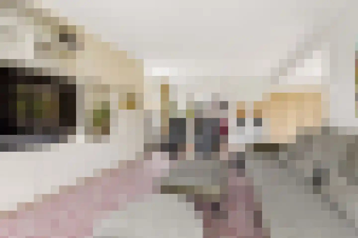 Klaashofweg 15 Eibergen thumbnail 8