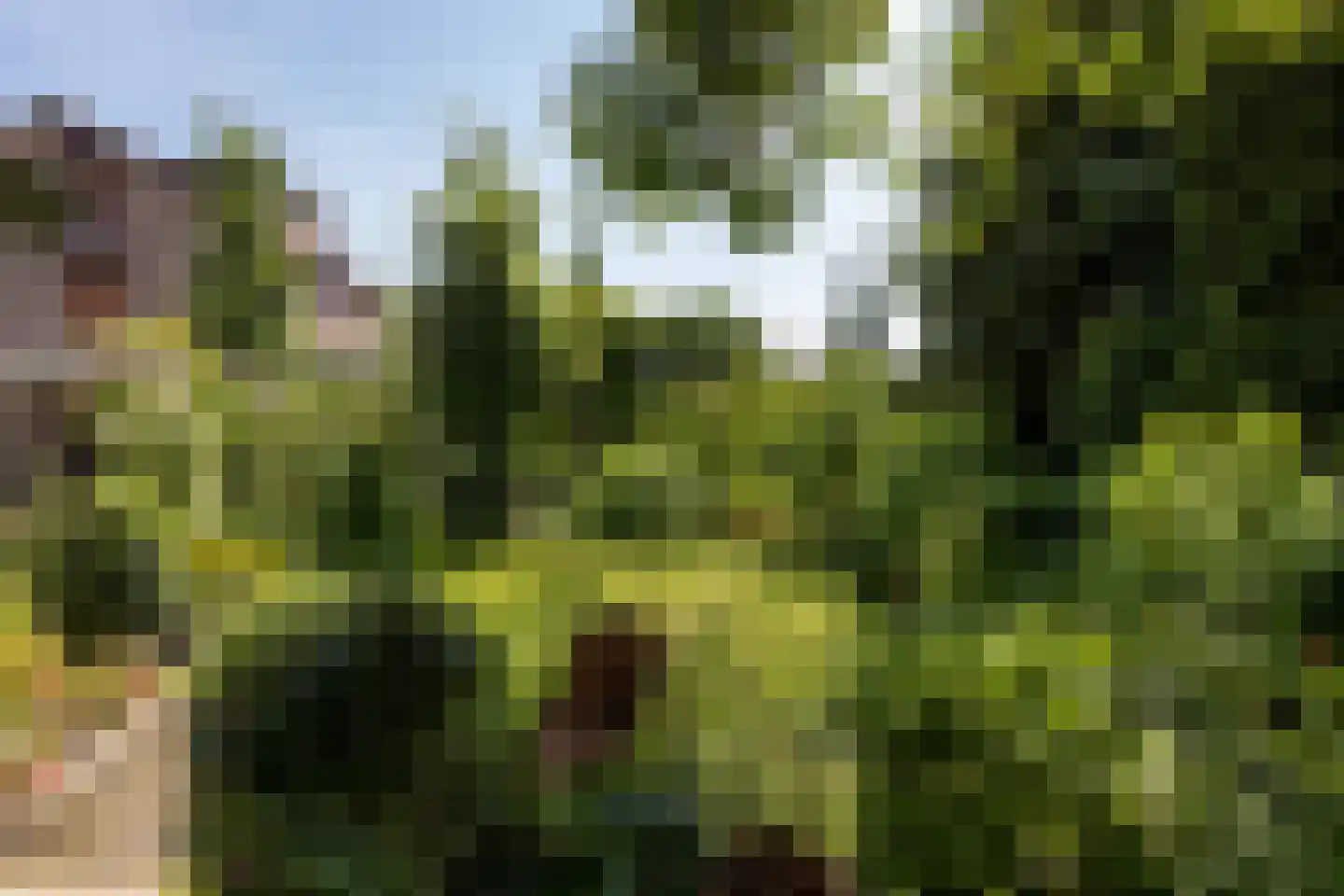 Klaashofweg 21 Eibergen thumbnail 13