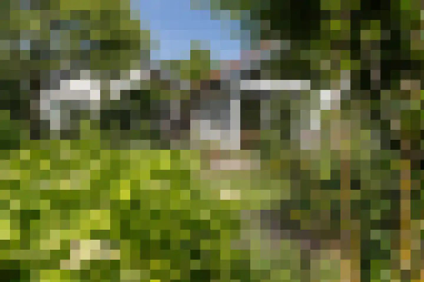 Klaashofweg 21 Eibergen thumbnail 14