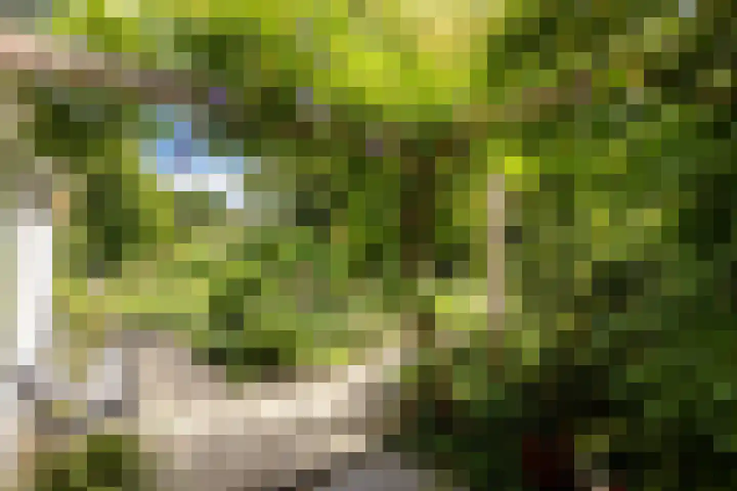 Klaashofweg 21 Eibergen thumbnail 17