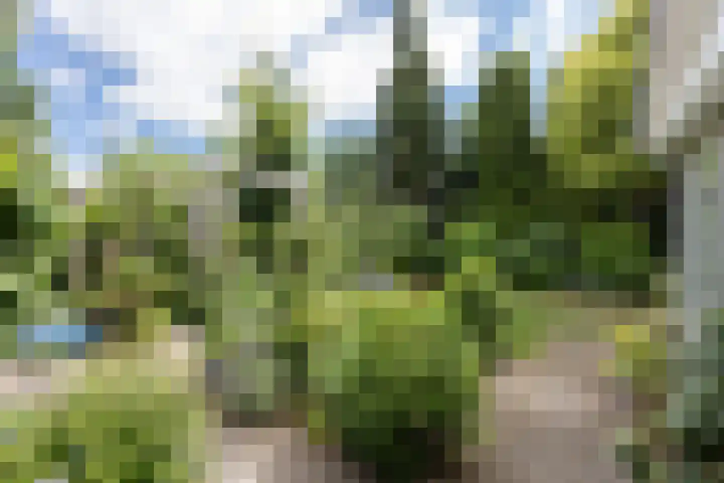 Klaashofweg 21 Eibergen thumbnail 18