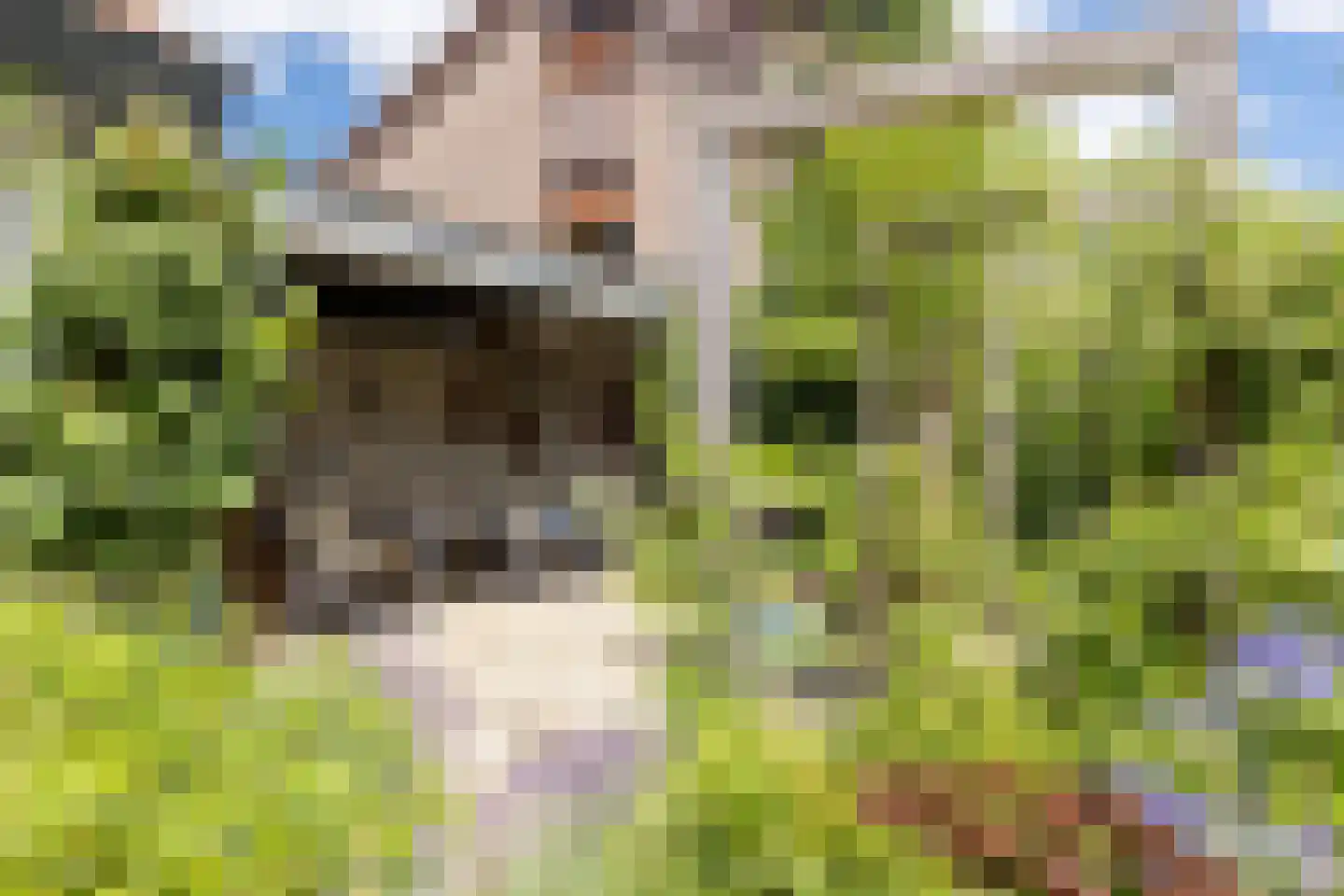 Klaashofweg 21 Eibergen thumbnail 19