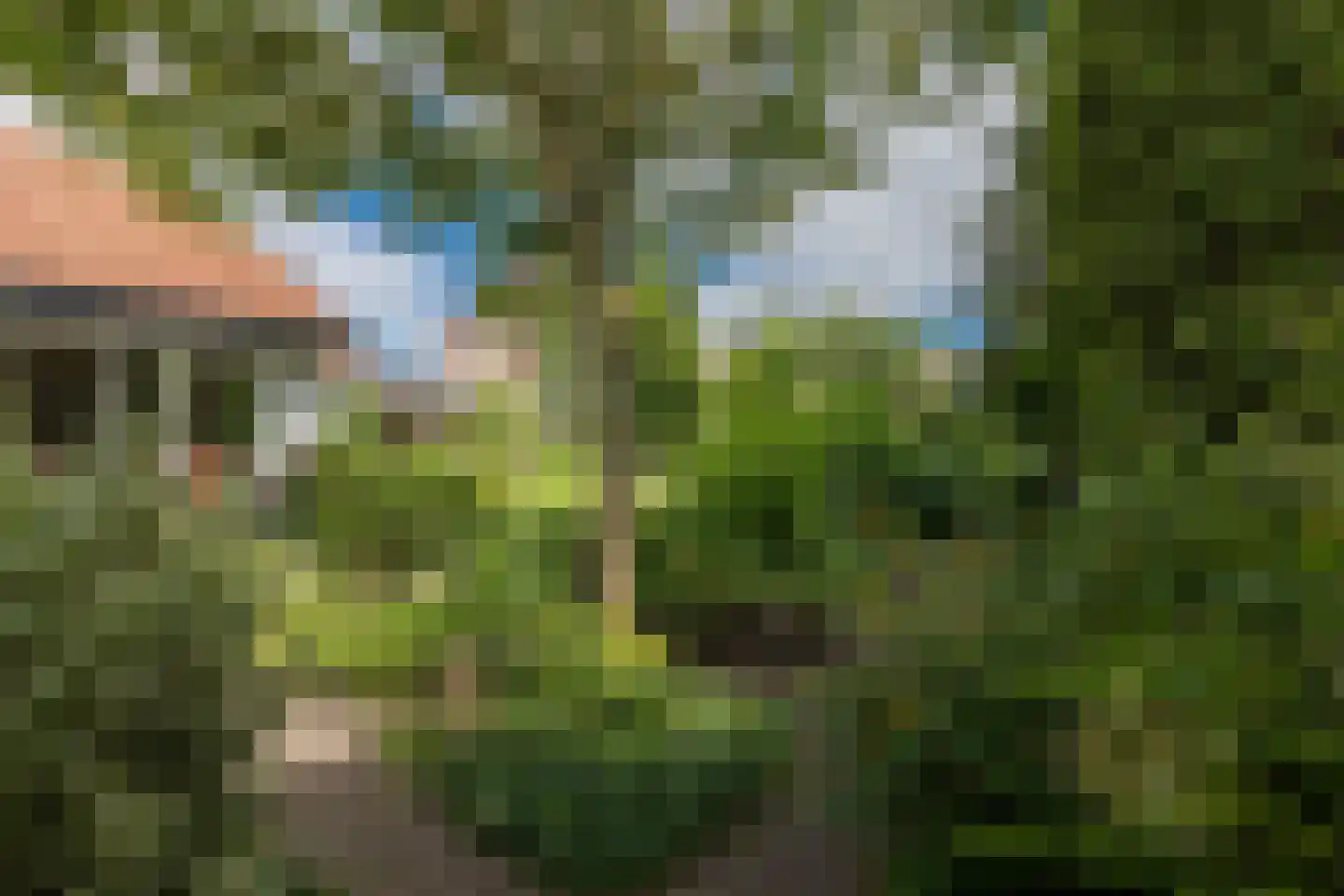 Klaashofweg 21 Eibergen thumbnail 20