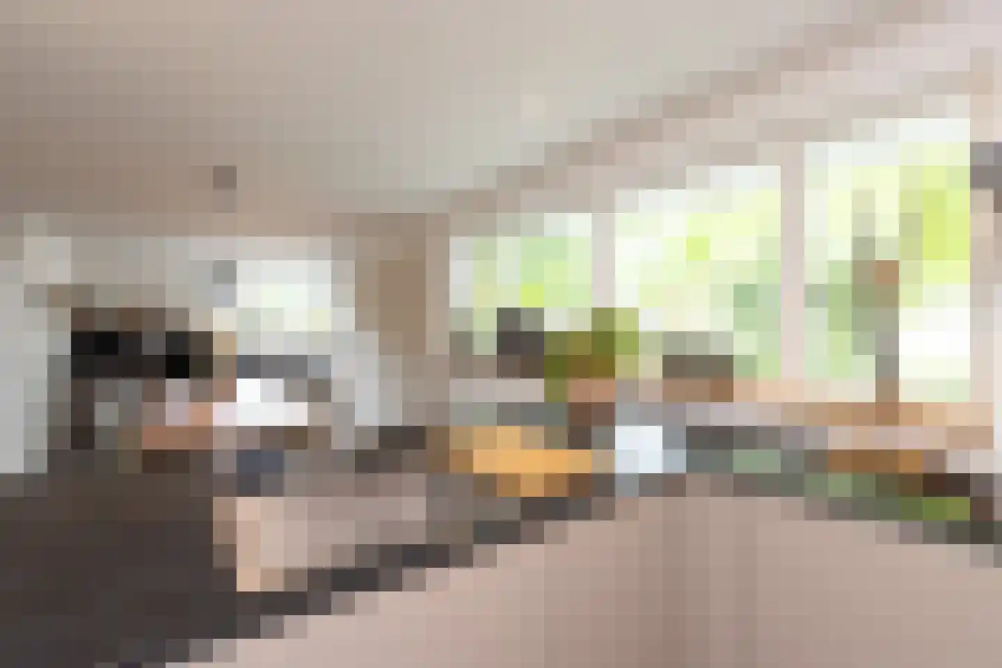 Klaashofweg 21 Eibergen thumbnail 27