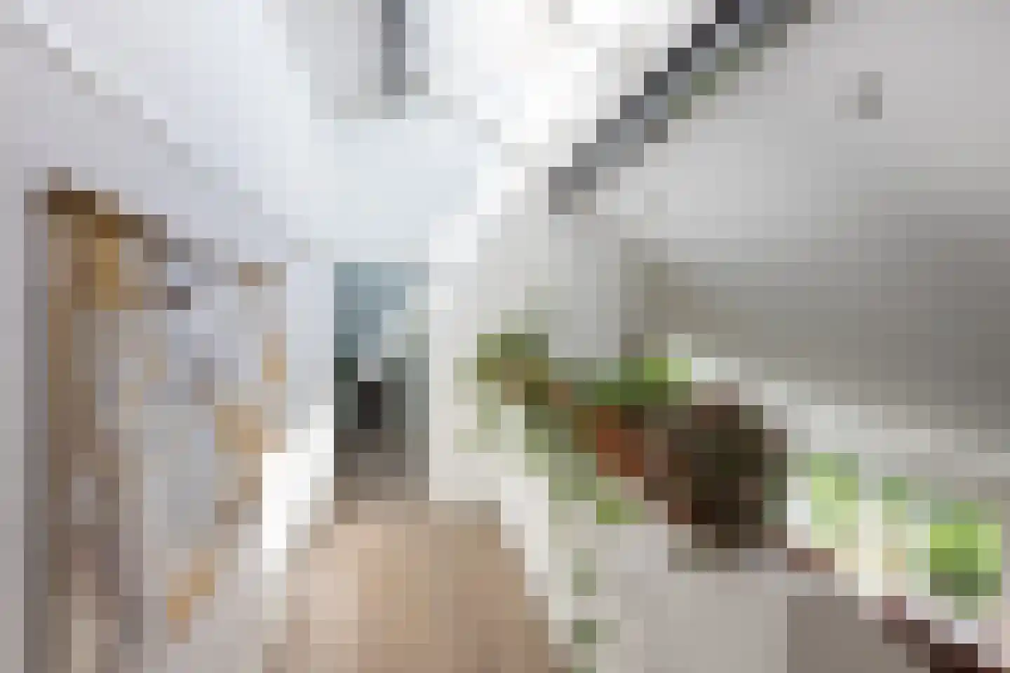Klaashofweg 21 Eibergen thumbnail 32