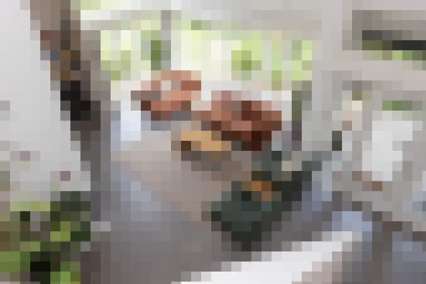 Klaashofweg 21 Eibergen thumbnail 39