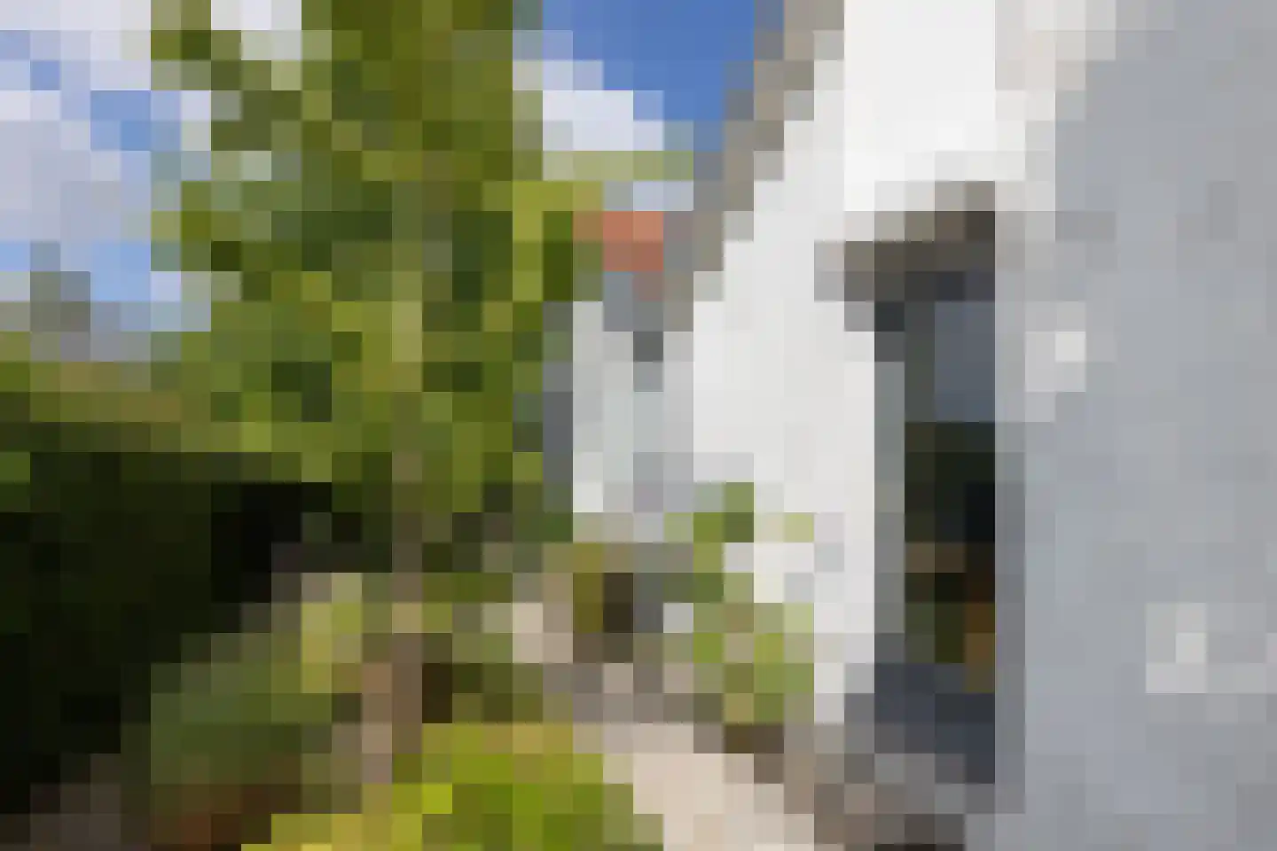 Klaashofweg 21 Eibergen thumbnail 50