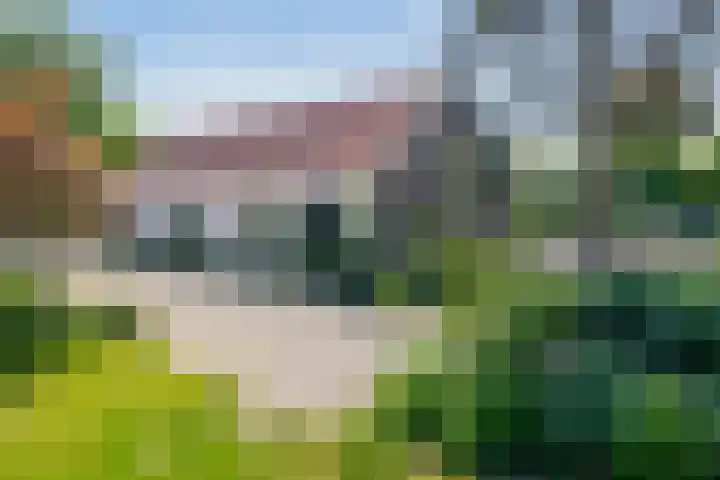 Klaashofweg 3 Reuver thumbnail 33