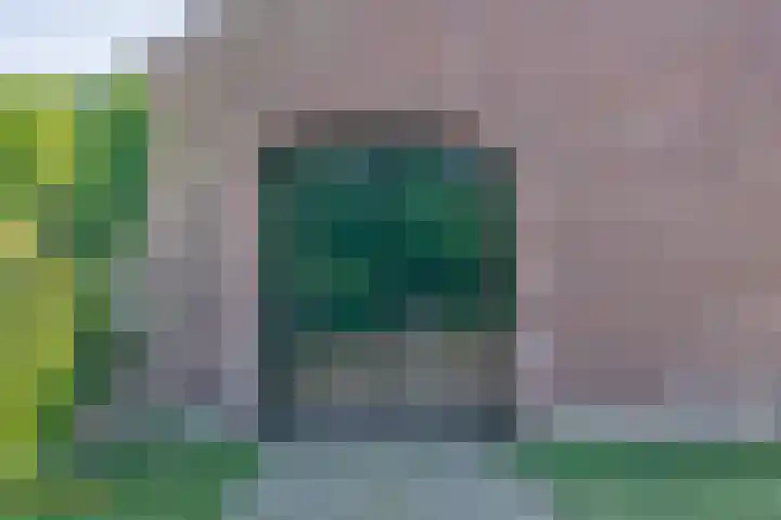 Klaashofweg 3 Reuver thumbnail 34