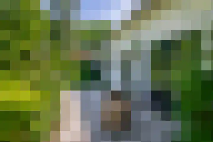 Klaashofweg 3 Reuver thumbnail 39
