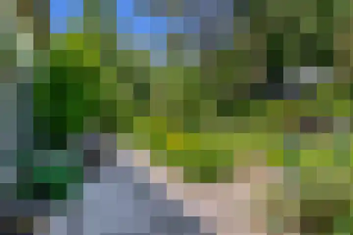 Klaashofweg 3 Reuver thumbnail 40