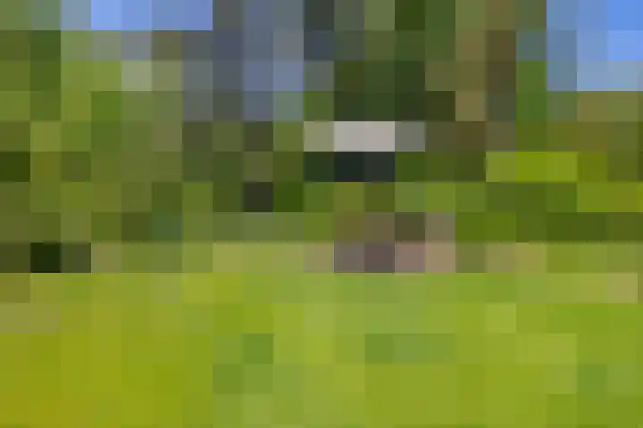 Klaashofweg 3 Reuver thumbnail 41