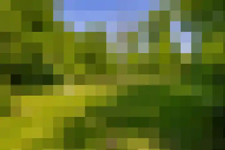 Klaashofweg 3 Reuver thumbnail 42