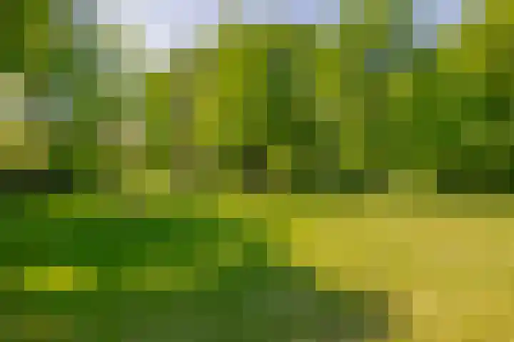 Klaashofweg 3 Reuver thumbnail 43