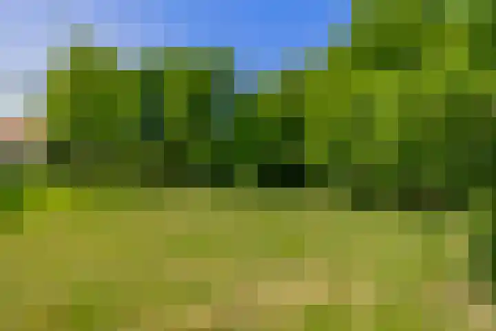 Klaashofweg 3 Reuver thumbnail 44