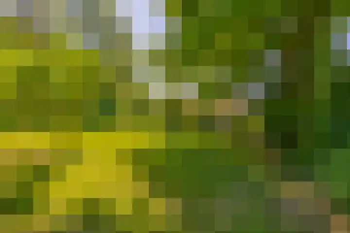Klaashofweg 3 Reuver thumbnail 45