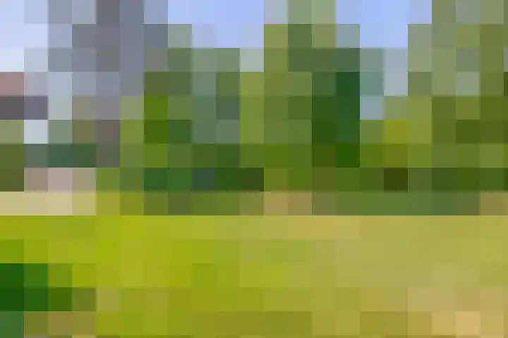 Klaashofweg 3 Reuver thumbnail 46