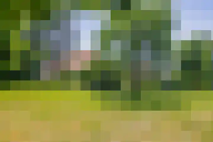 Klaashofweg 3 Reuver thumbnail 48