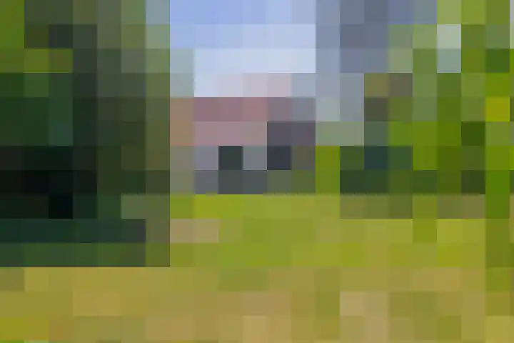 Klaashofweg 3 Reuver thumbnail 49