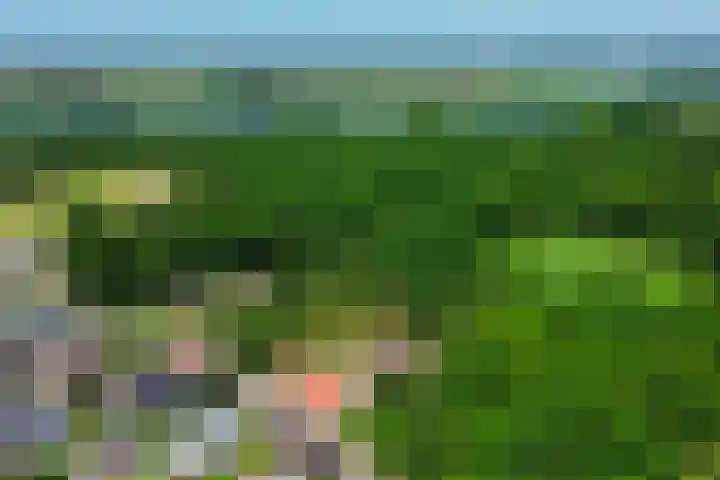 Klaashofweg 3 Reuver thumbnail 54