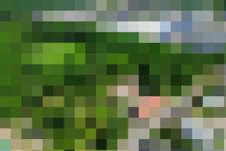 Klaashofweg 3 Reuver thumbnail 55