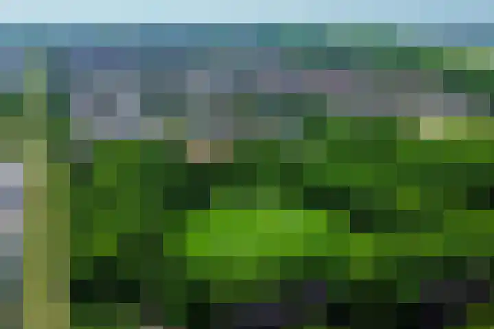 Klaashofweg 3 Reuver thumbnail 56