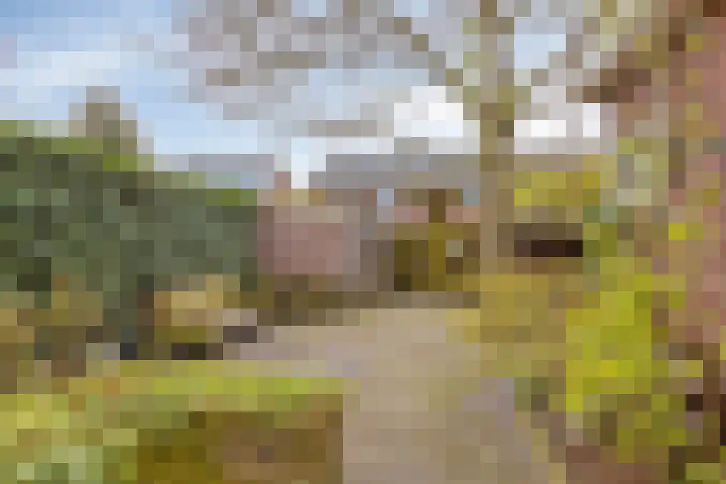 Klaashofweg 41 Eibergen thumbnail 42