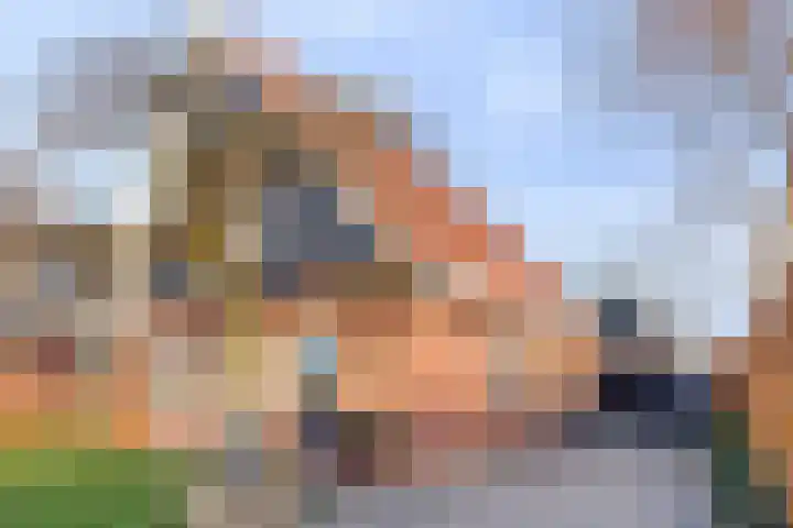 Klaashuisstraat 25 Haaksbergen thumbnail 6