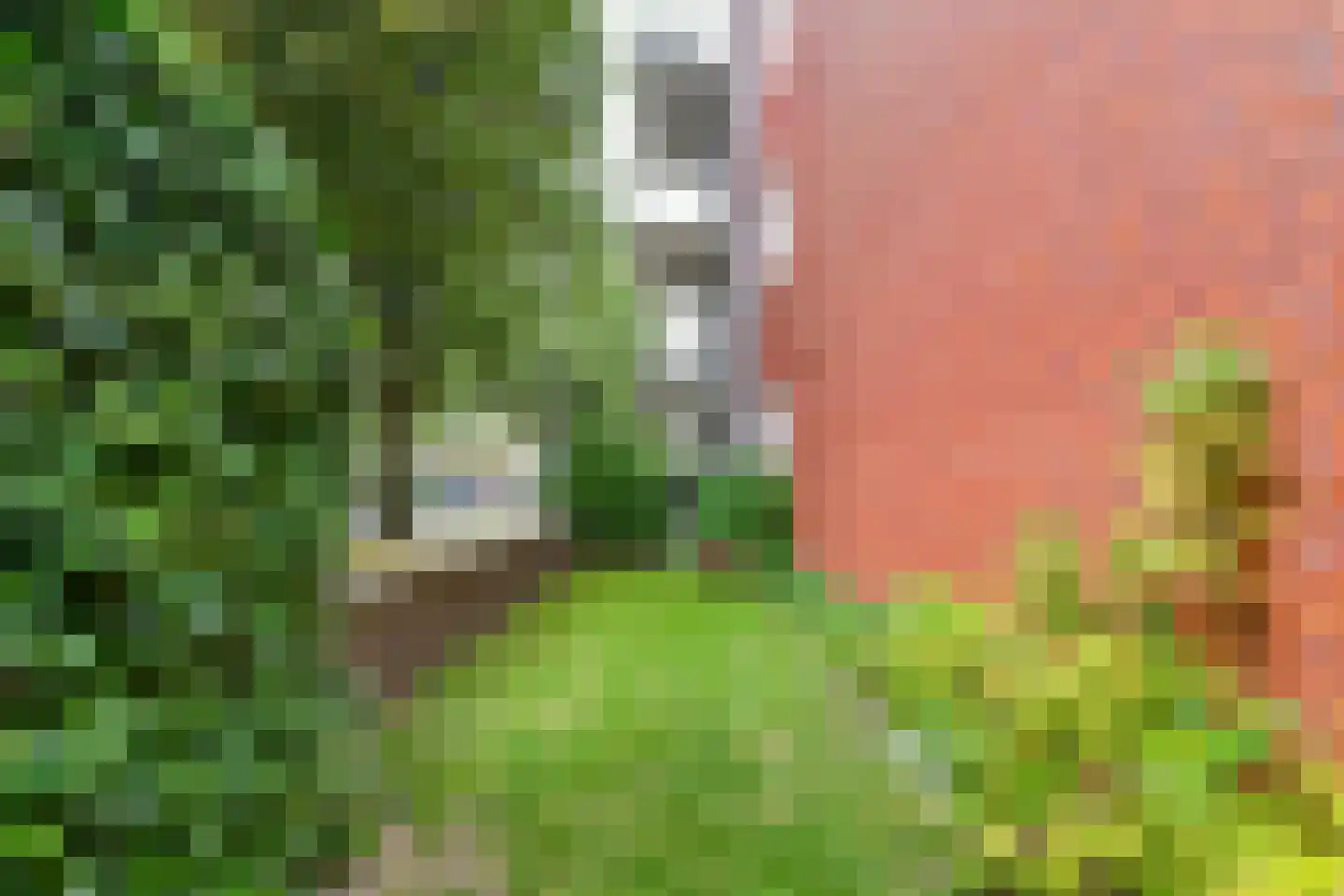 Klaasje Bogaard-Slingerhof 36 Hoofddorp thumbnail 28