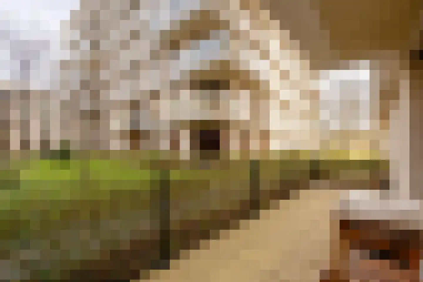 Klaasje Zevensterstraat 511 Amstelveen thumbnail 11