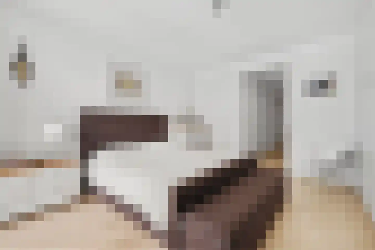 Klaasje Zevensterstraat 557 Amstelveen thumbnail 70