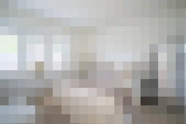 Klaaskampen 15 a Laren thumbnail 16