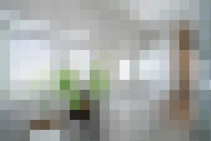 Klaaskampen 15 a Laren thumbnail 20