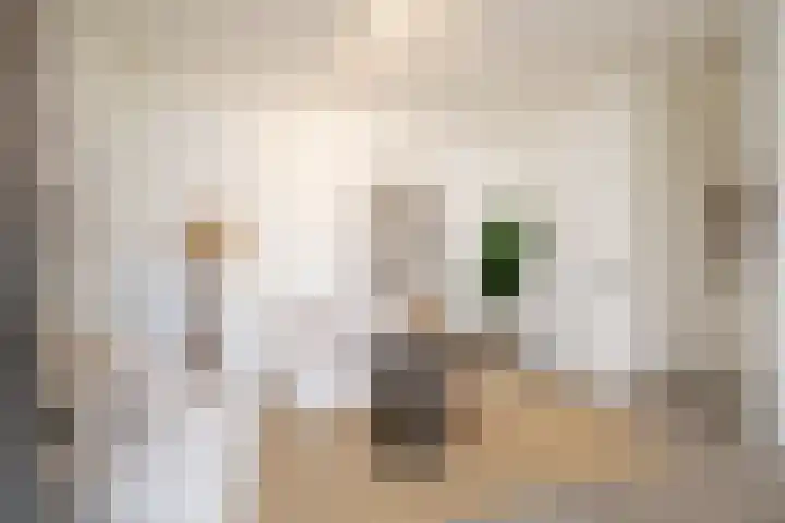 Klaaskampen 15 a Laren thumbnail 7